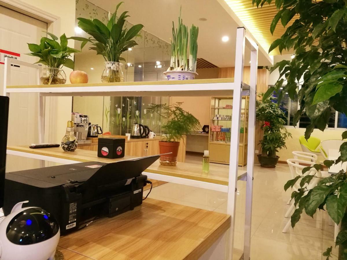 The Olive Tree Capsule Hostel Шънджън Екстериор снимка